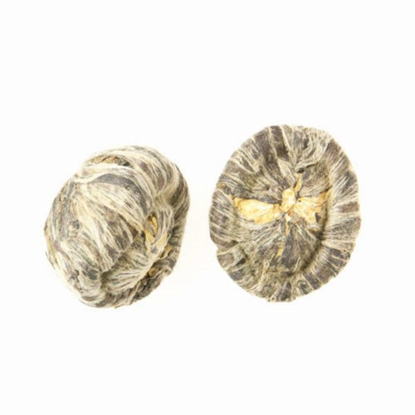 ALLEGRIA JASMINE BURST - Image 4